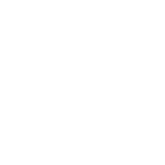 fightvector