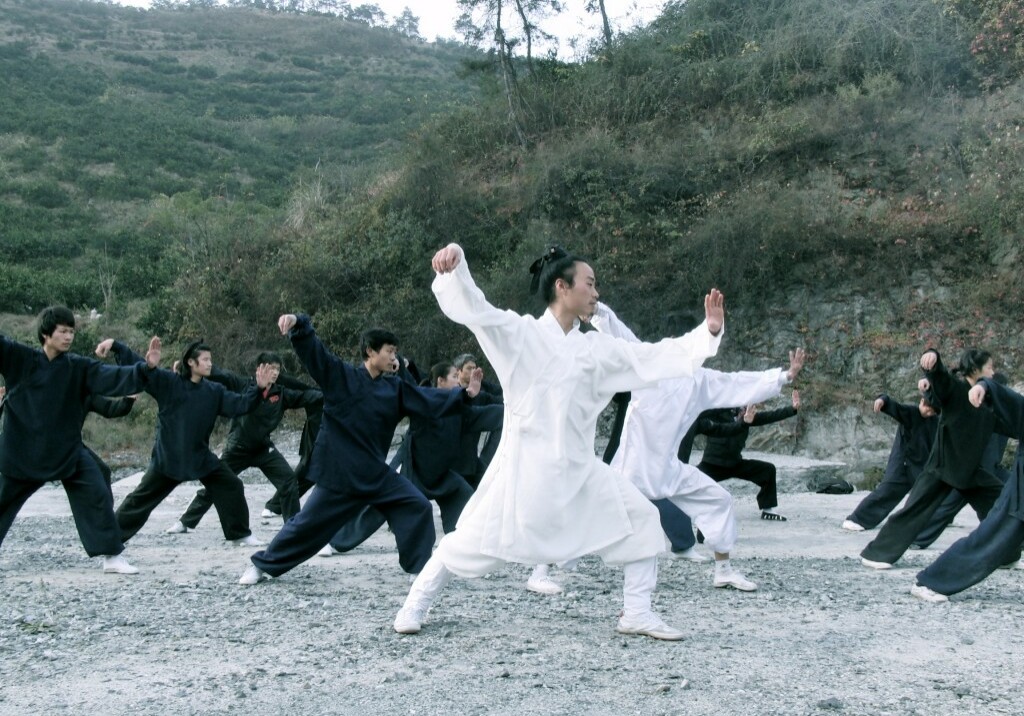 Wudang-taijiquan-schweiz