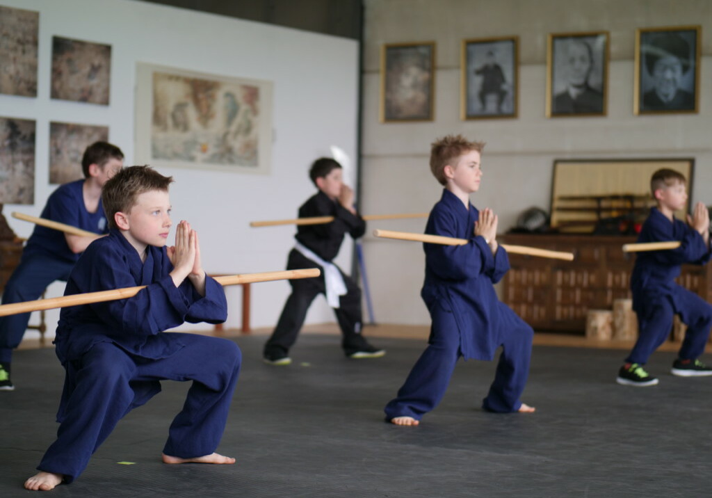 Kung Fu Kids Training Luzern Sursee